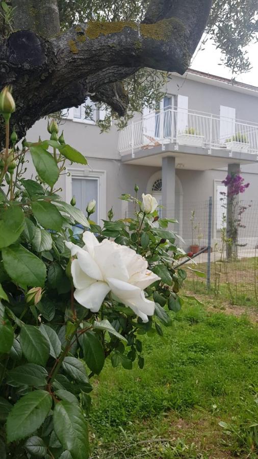 B&B Ripari di Giobbe Ortona Esterno foto